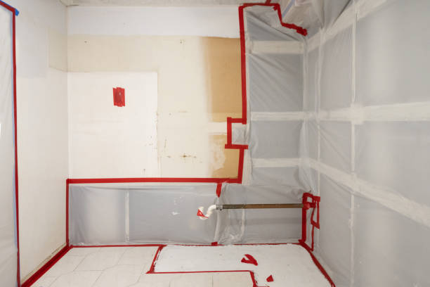 Reliable Casa Grande, AZ Mold Removal Solutions