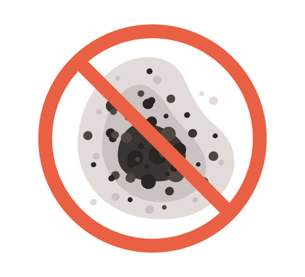 Best Dehumidification Services  in Casa Grande, AZ