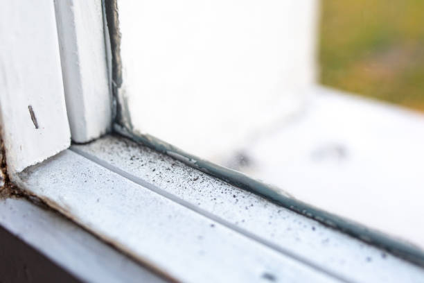 Best Real Estate Mold Inspection  in Casa Grande, AZ