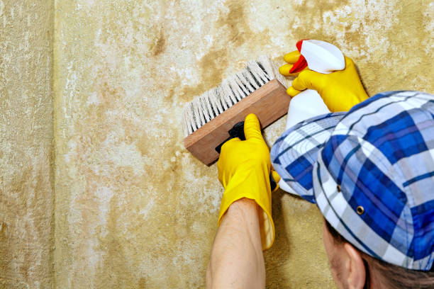 Best Indoor Air Quality Assessment  in Casa Grande, AZ
