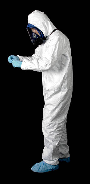 Best Mold Remediation for Vacation Homes  in Casa Grande, AZ