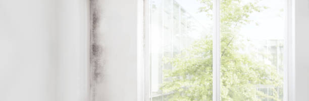Best Mold Prevention Services  in Casa Grande, AZ