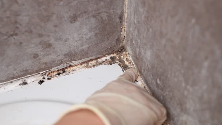 Best Residential Mold Inspection & Testing  in Casa Grande, AZ